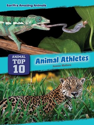 cover image of Animal Athletes